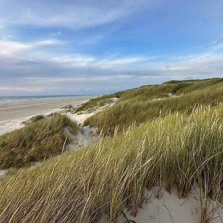 6 Person In Saltum-by Traum * Saltum